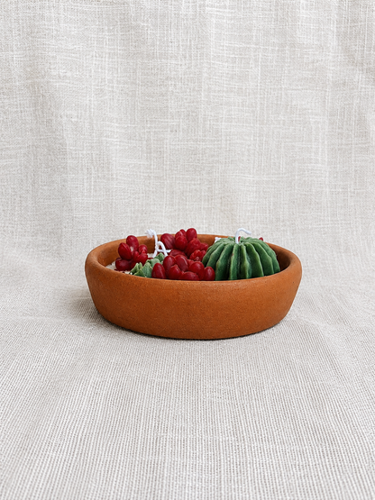 Succulent Garden Terracotta Candle