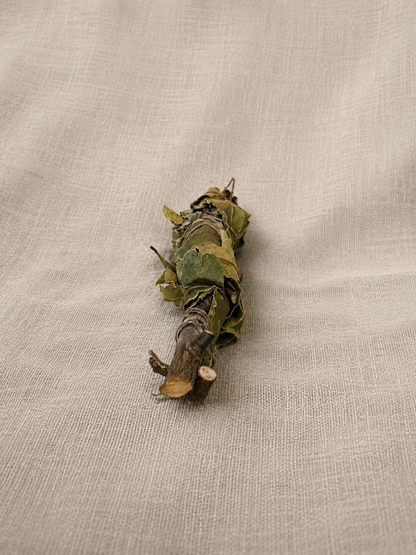 Organic Bay Laurel Smudge Stick