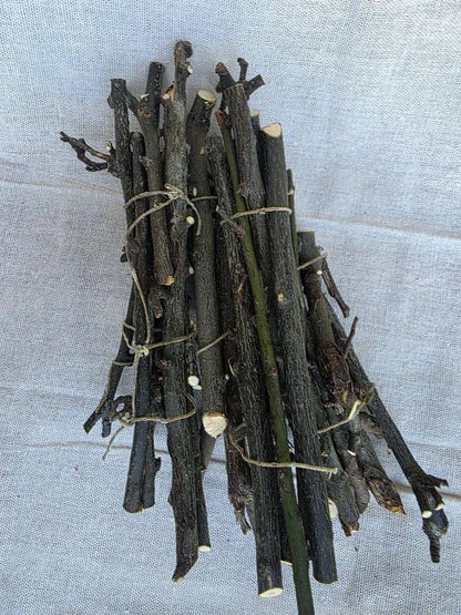 Natural Bay Laurel Wood Sticks Bundle